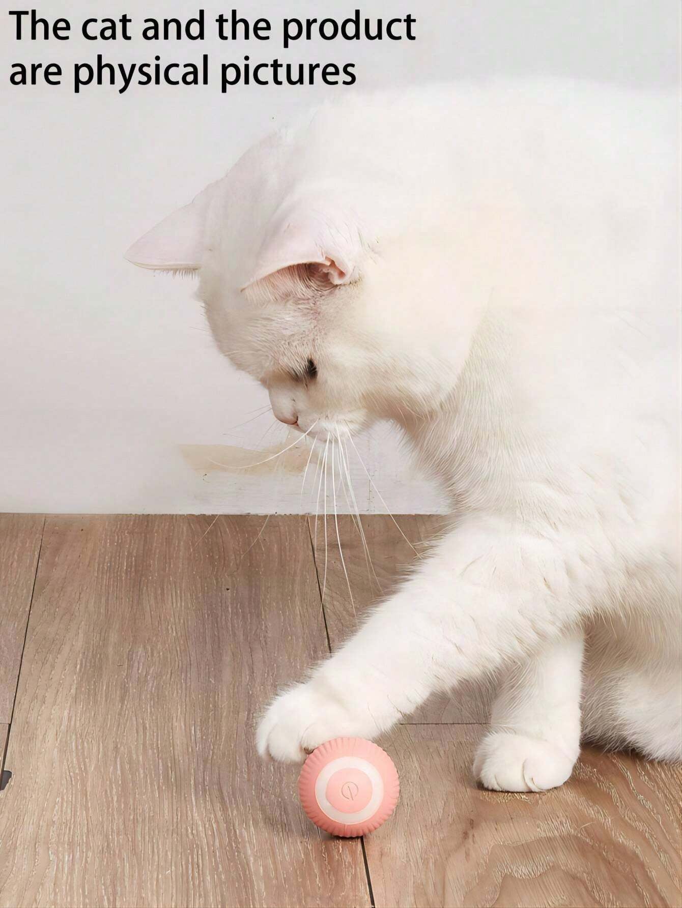 An Intelligent Rolling Ball Designed Specifically for Cats, Equipped with Smart Chip to Automatically Roll, an Amusing Toy for Kitties to Play and Kill Time, Not Suitable for Dogs