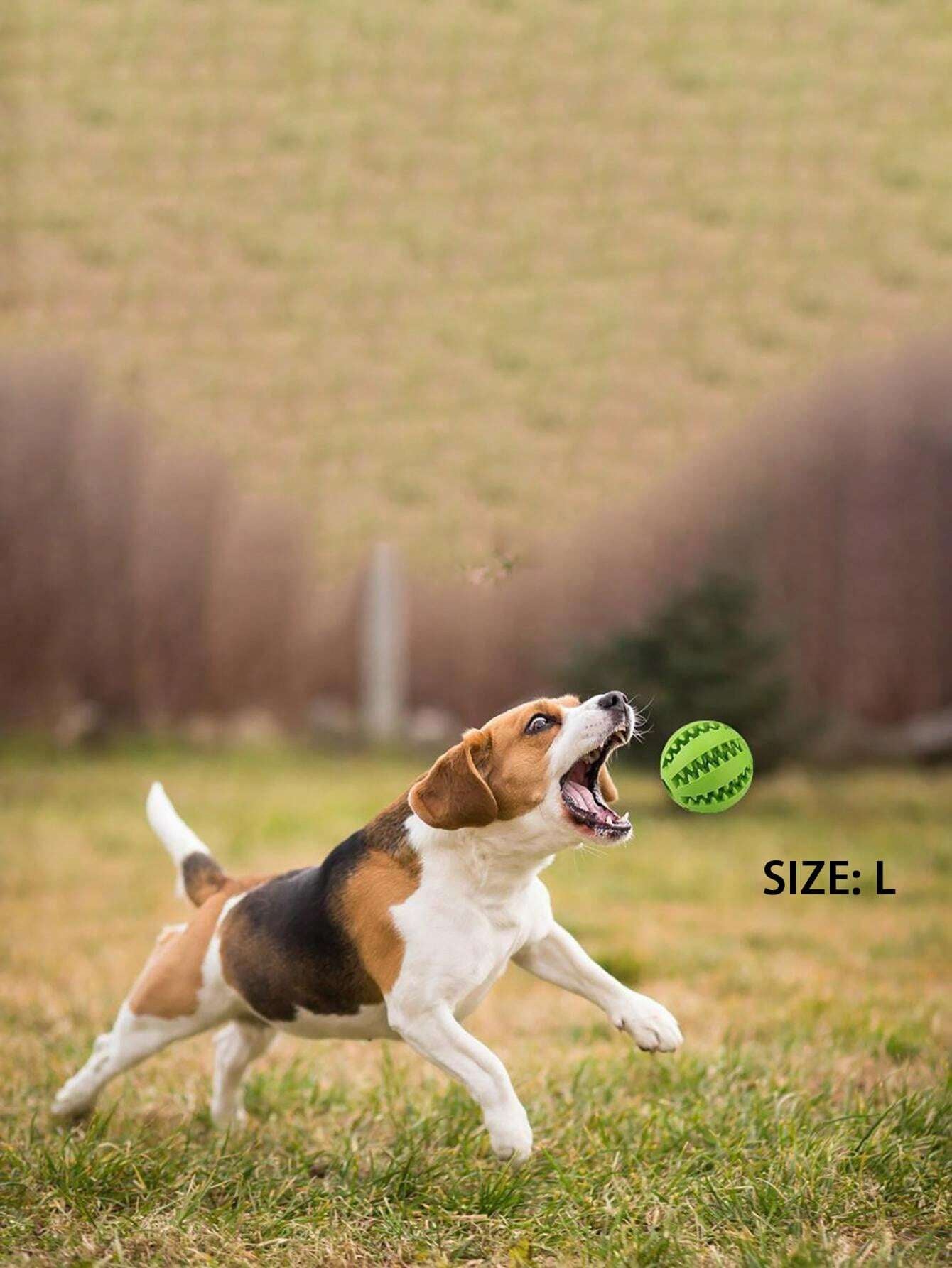 1Pc Random Color Dog Ball Toys for Dogs Interactive Elasticity Puppy Chew Toy Tooth Cleaning Rubber Food Ball Toy Pet Stuff Accessories